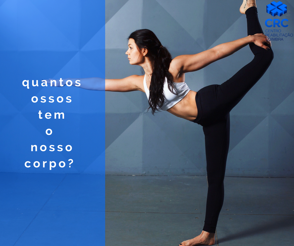 ossos corpo humano fisioterapia ossos corpo humano fisioterapia